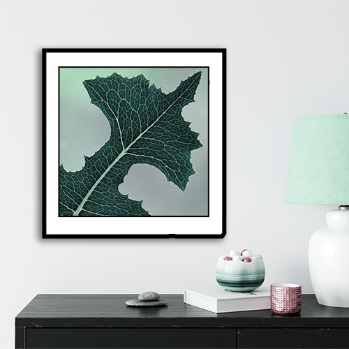 art foto photo art black and white nature plants wild nature macro photography decoration home best popular beautiful Marta Konieczny leaf single green emerald framed